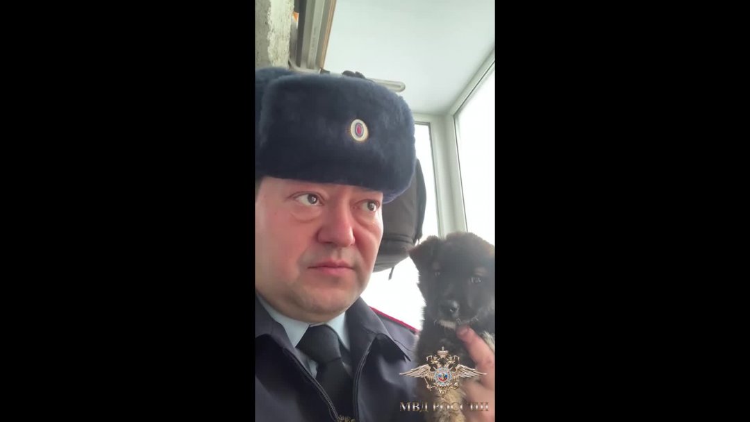 В Пыть-Яхе полицейские спасли бездомного щенка (видео)